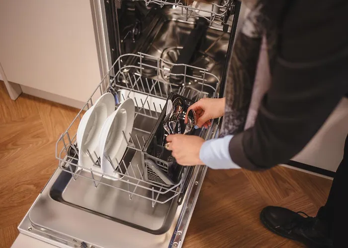 The Circus Living 4*