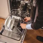 The Circus Living 3*